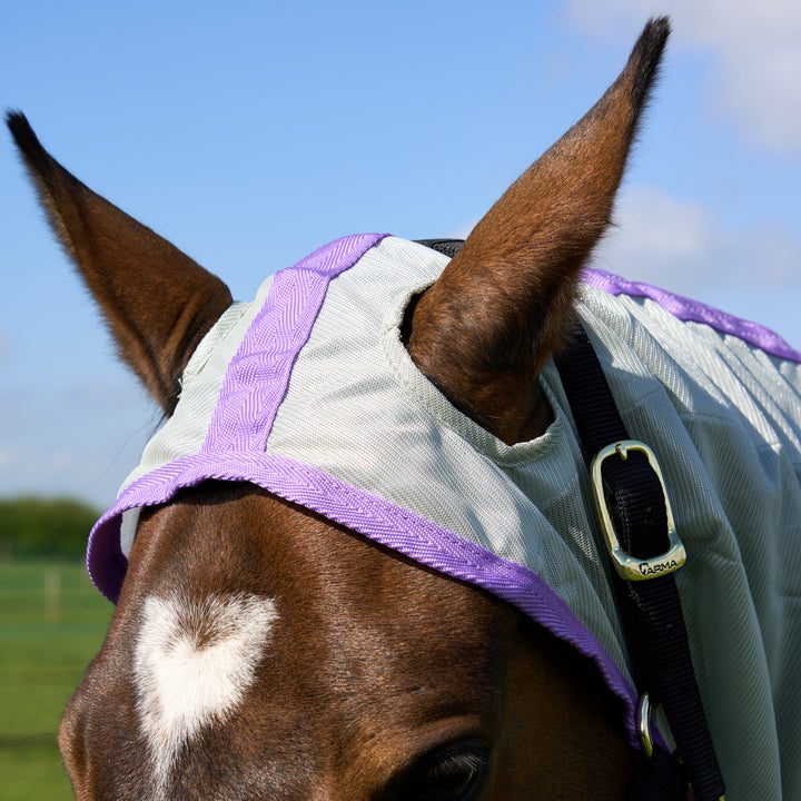 Millbry Hill Pro Fly Rug