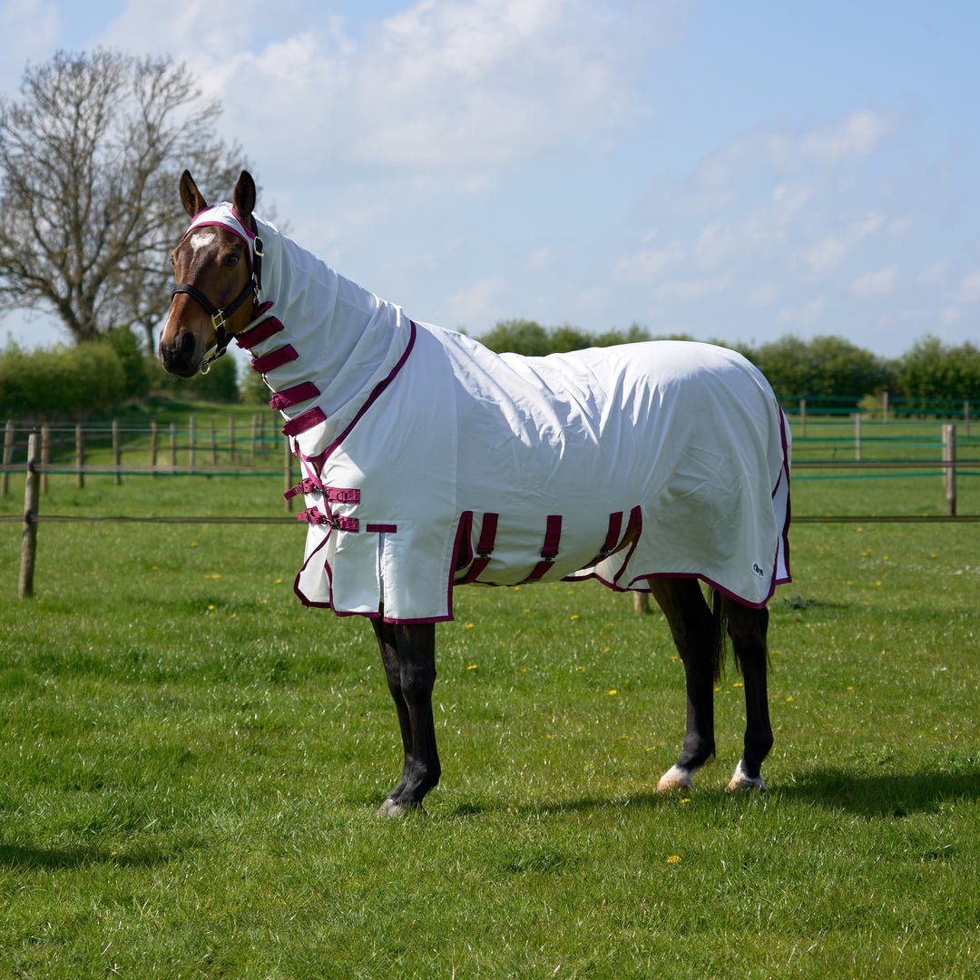 Millbry Hill Elite Sweet Itch Rug