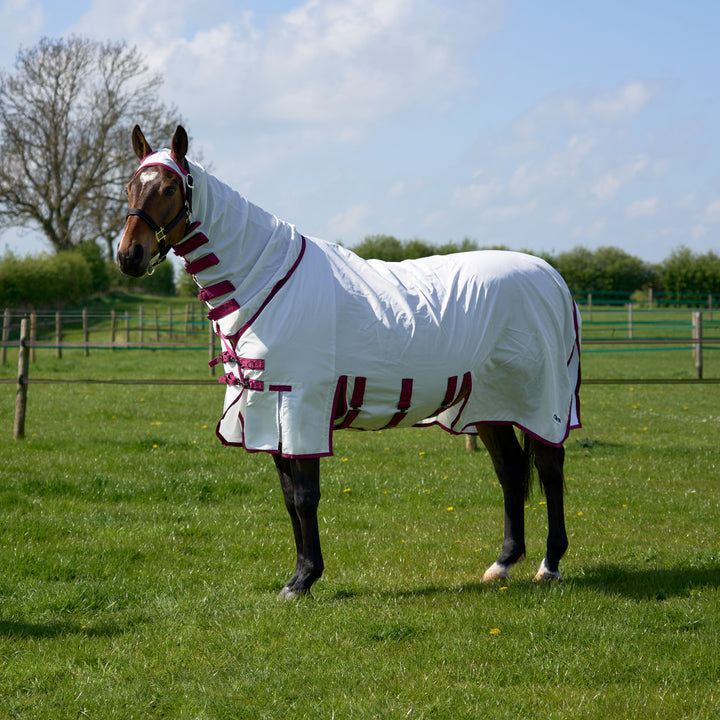 Millbry Hill Elite Sweet Itch Rug