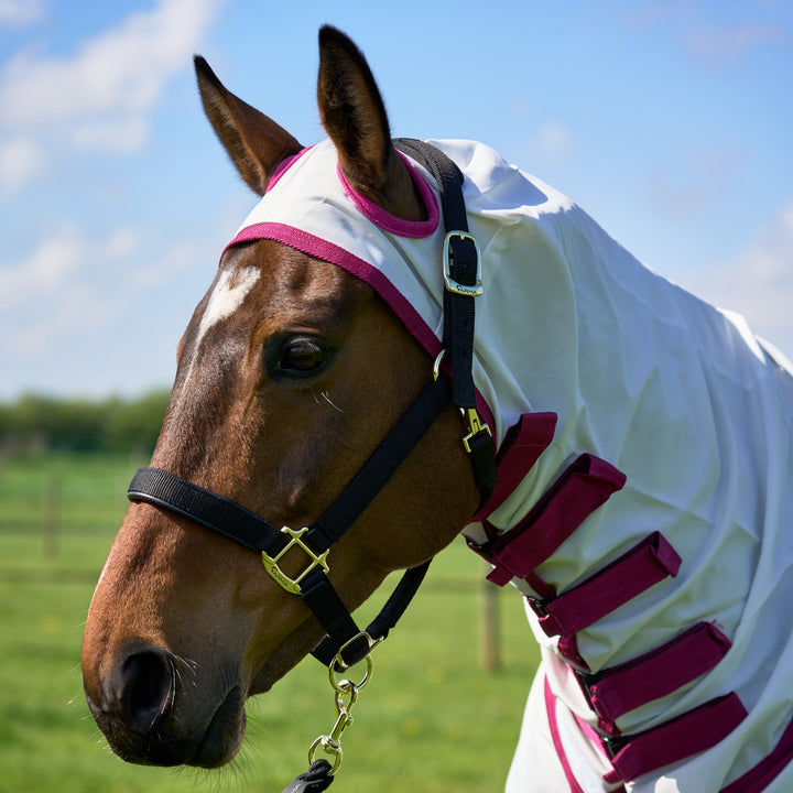 Millbry Hill Elite Sweet Itch Rug