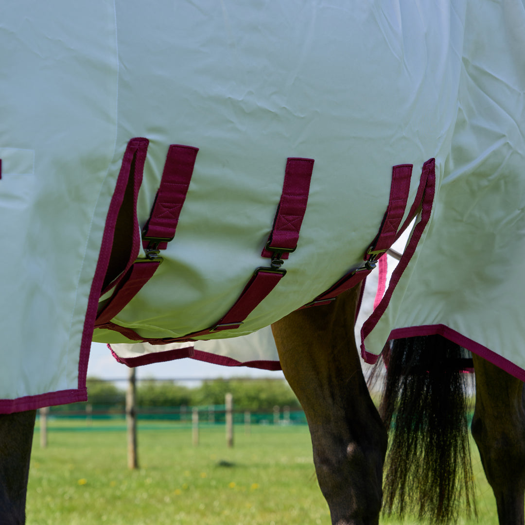 Millbry Hill Elite Sweet Itch Rug