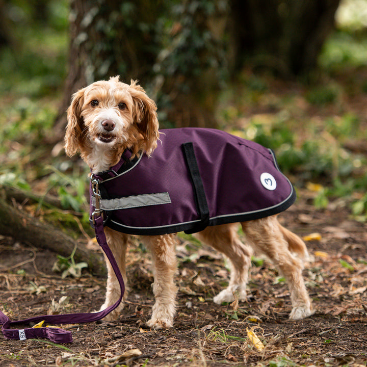 Millbry Hill 0g Dog Coat