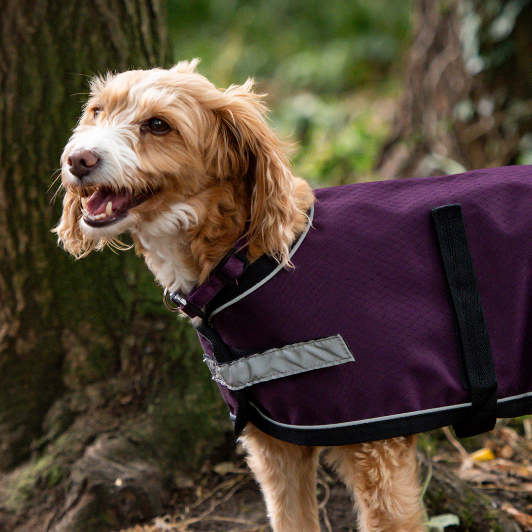 Millbry Hill 0g Dog Coat