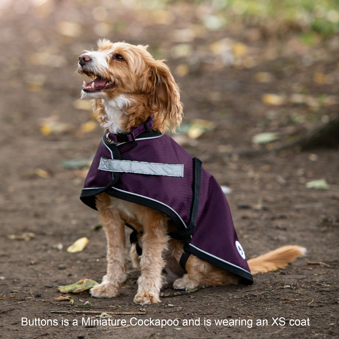 Millbry Hill 0g Dog Coat