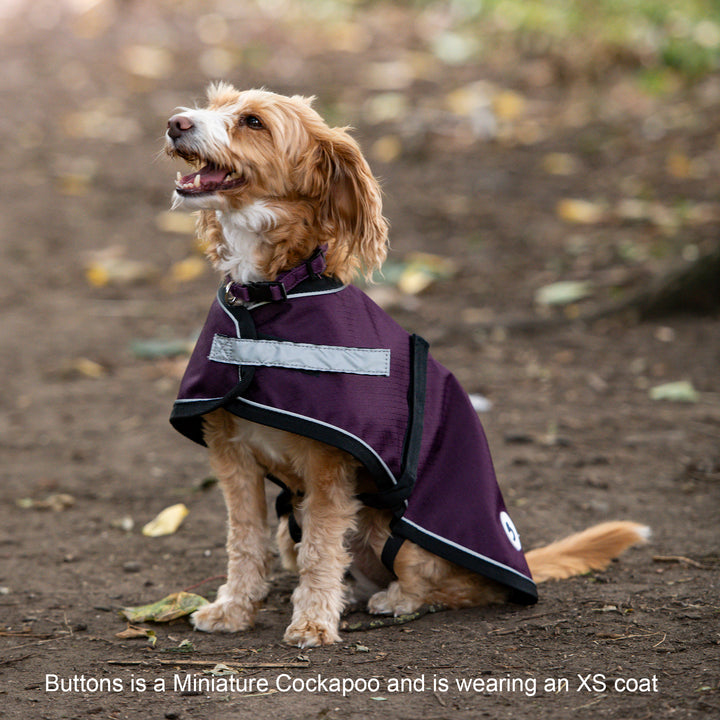 Millbry Hill 0g Dog Coat