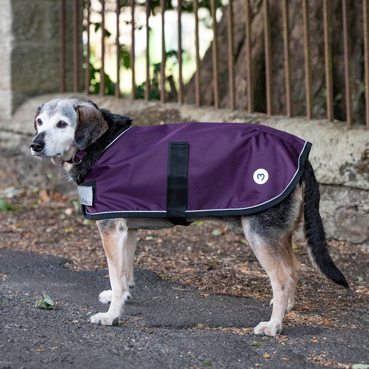 Millbry Hill 0g Dog Coat