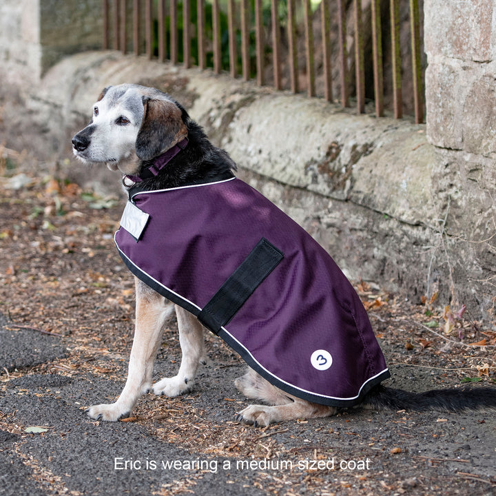 Millbry Hill 0g Dog Coat