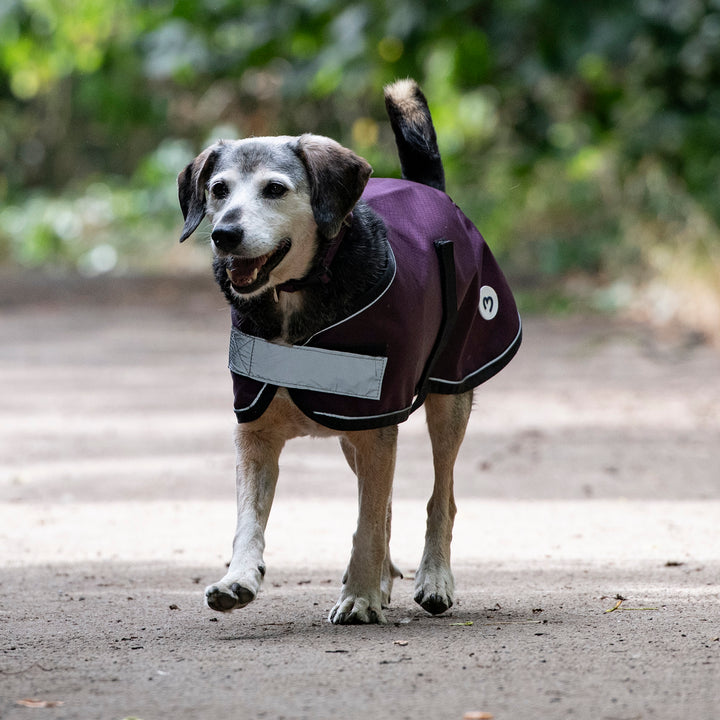 Millbry Hill 0g Dog Coat