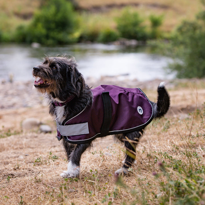 Millbry Hill 0g Dog Coat
