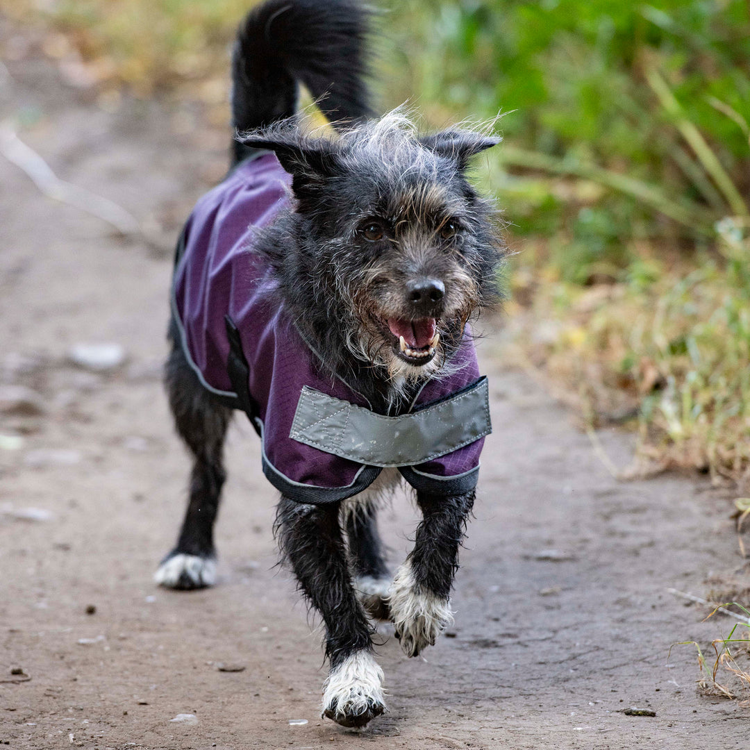 Millbry Hill 0g Dog Coat
