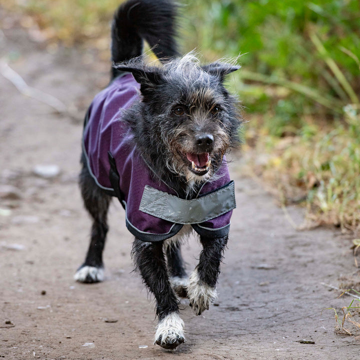 Millbry Hill 0g Dog Coat