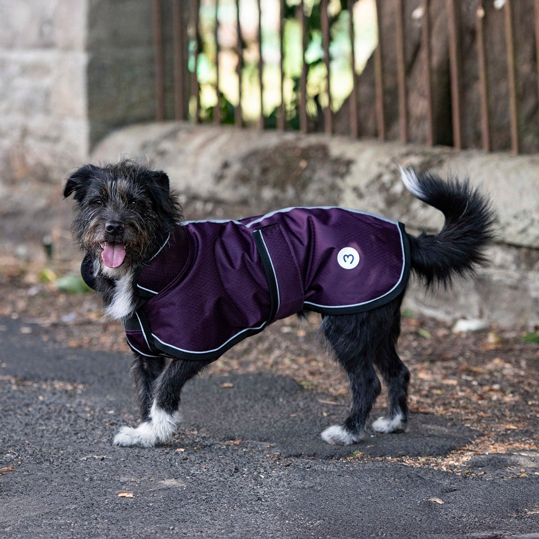 Millbry Hill 50g Dog Coat