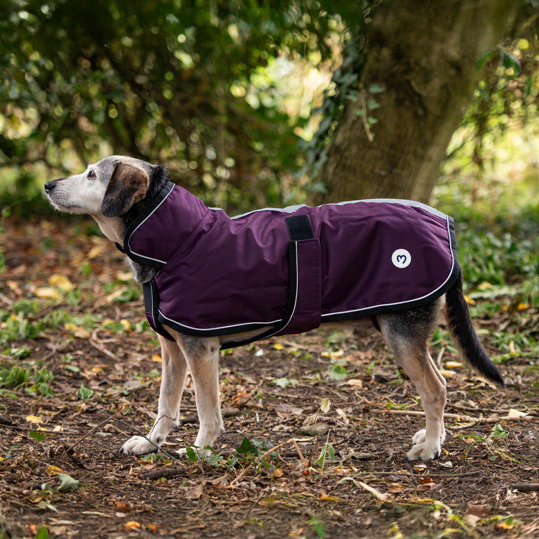 Millbry Hill 50g Dog Coat