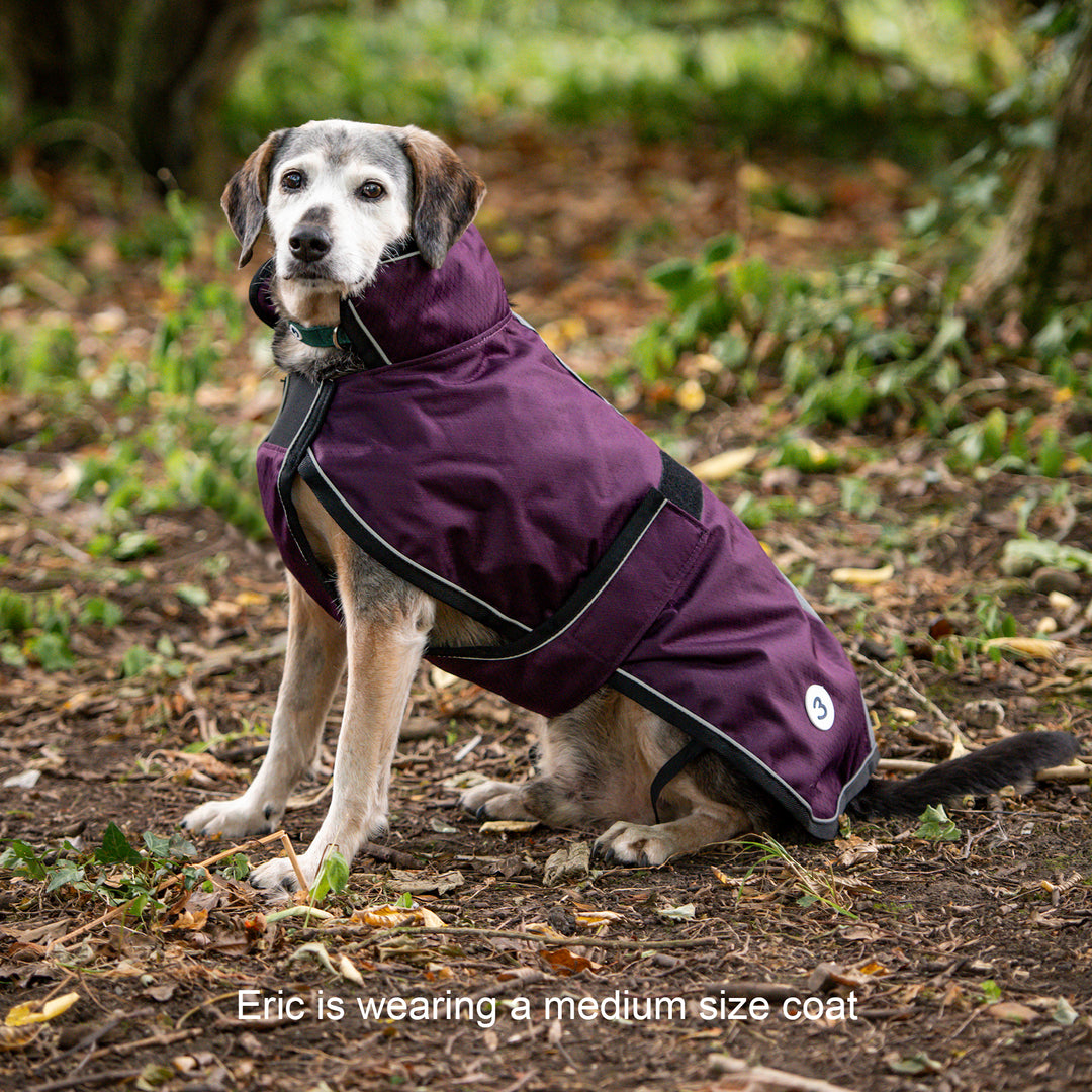 Millbry Hill 50g Dog Coat