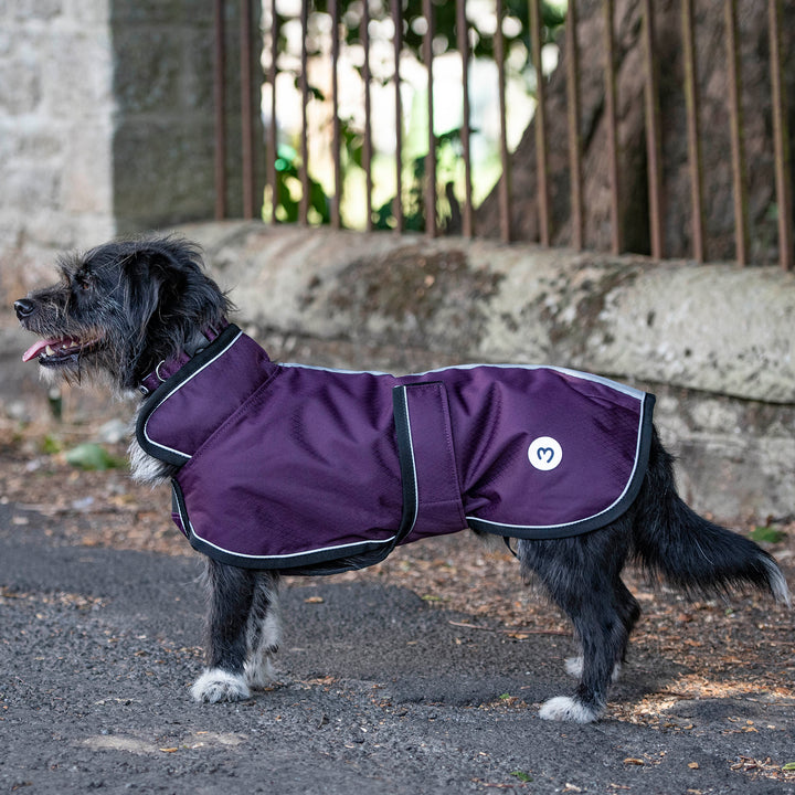 Millbry Hill 50g Dog Coat
