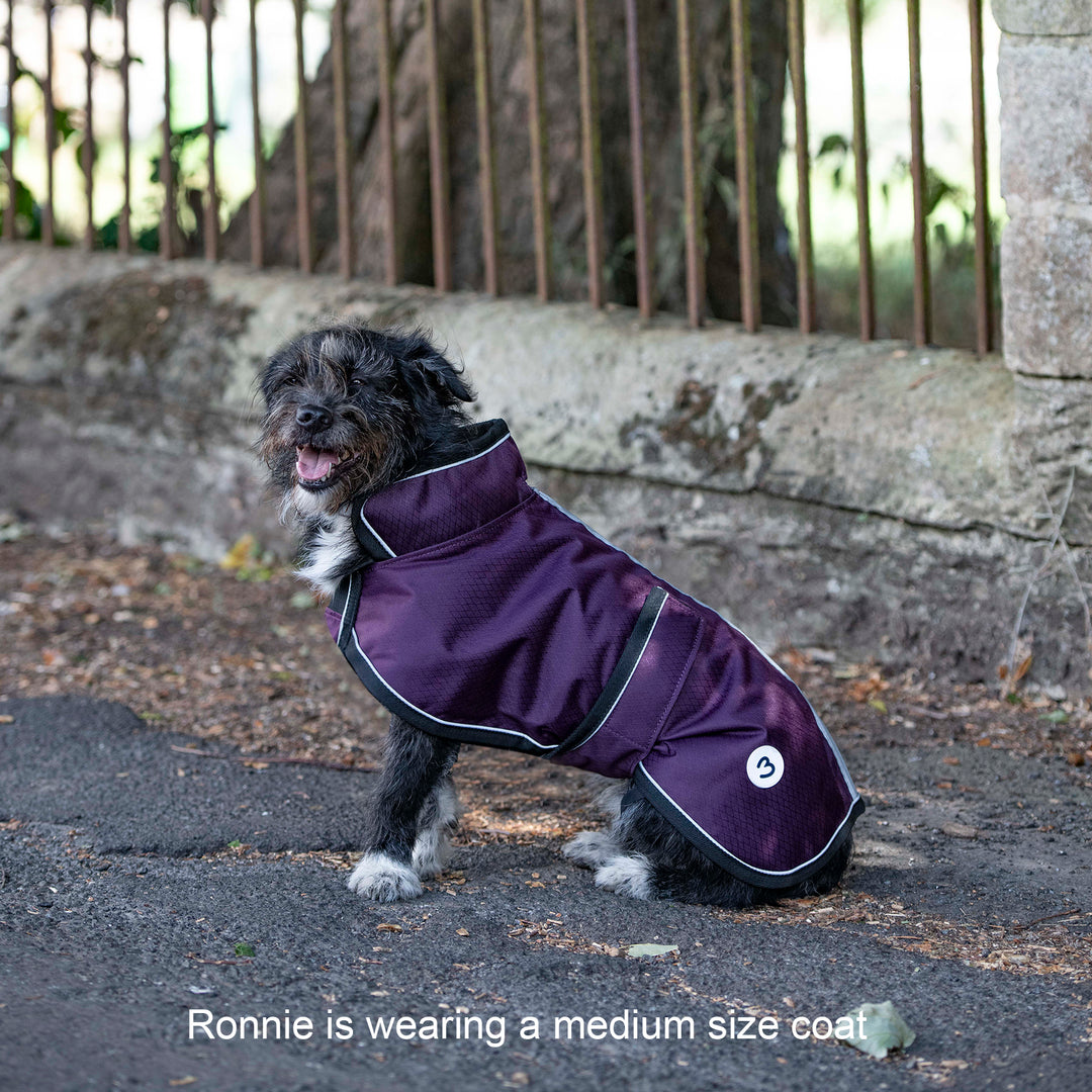 Millbry Hill 50g Dog Coat