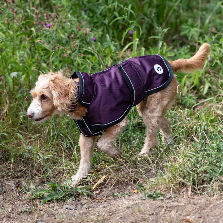 Millbry Hill 50g Dog Coat