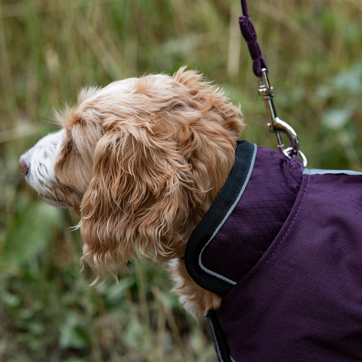 Millbry Hill 50g Dog Coat