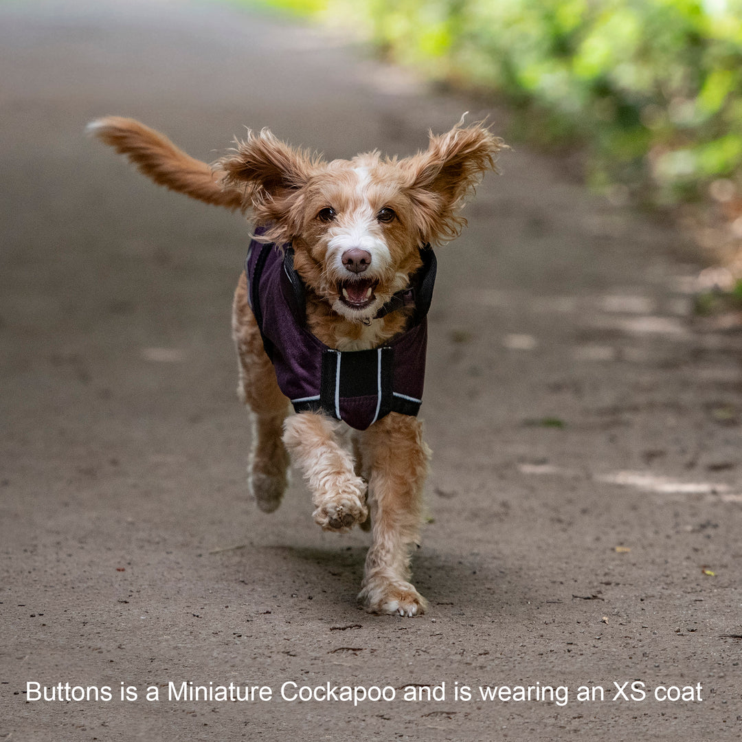 Millbry Hill 50g Dog Coat
