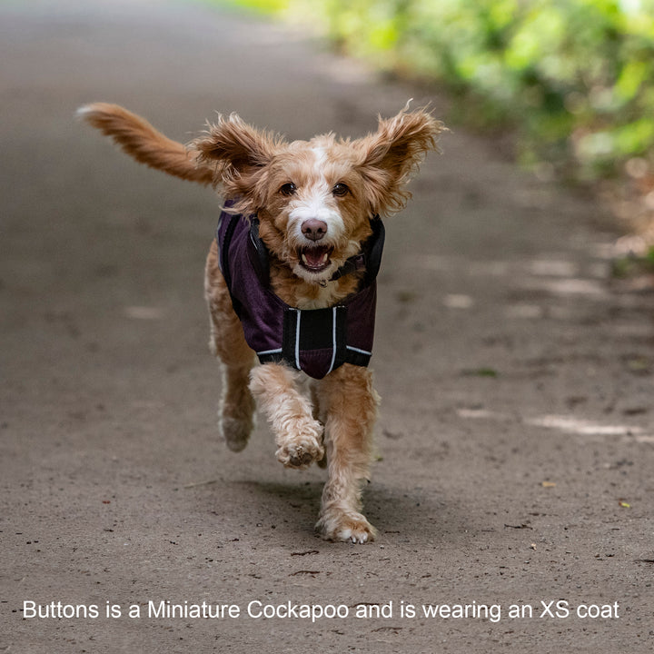 Millbry Hill 50g Dog Coat