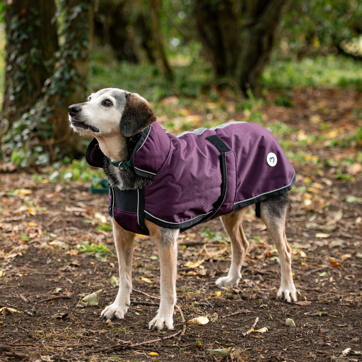Millbry Hill 50g Dog Coat