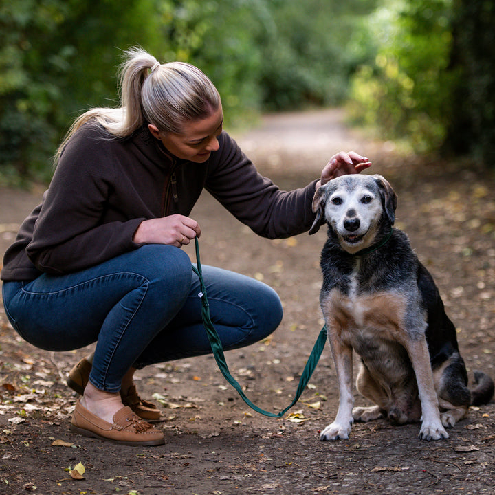 Millbry Hill Dog Collar & Lead Set