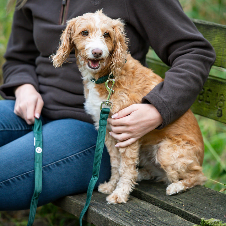 Millbry Hill Dog Collar & Lead Set