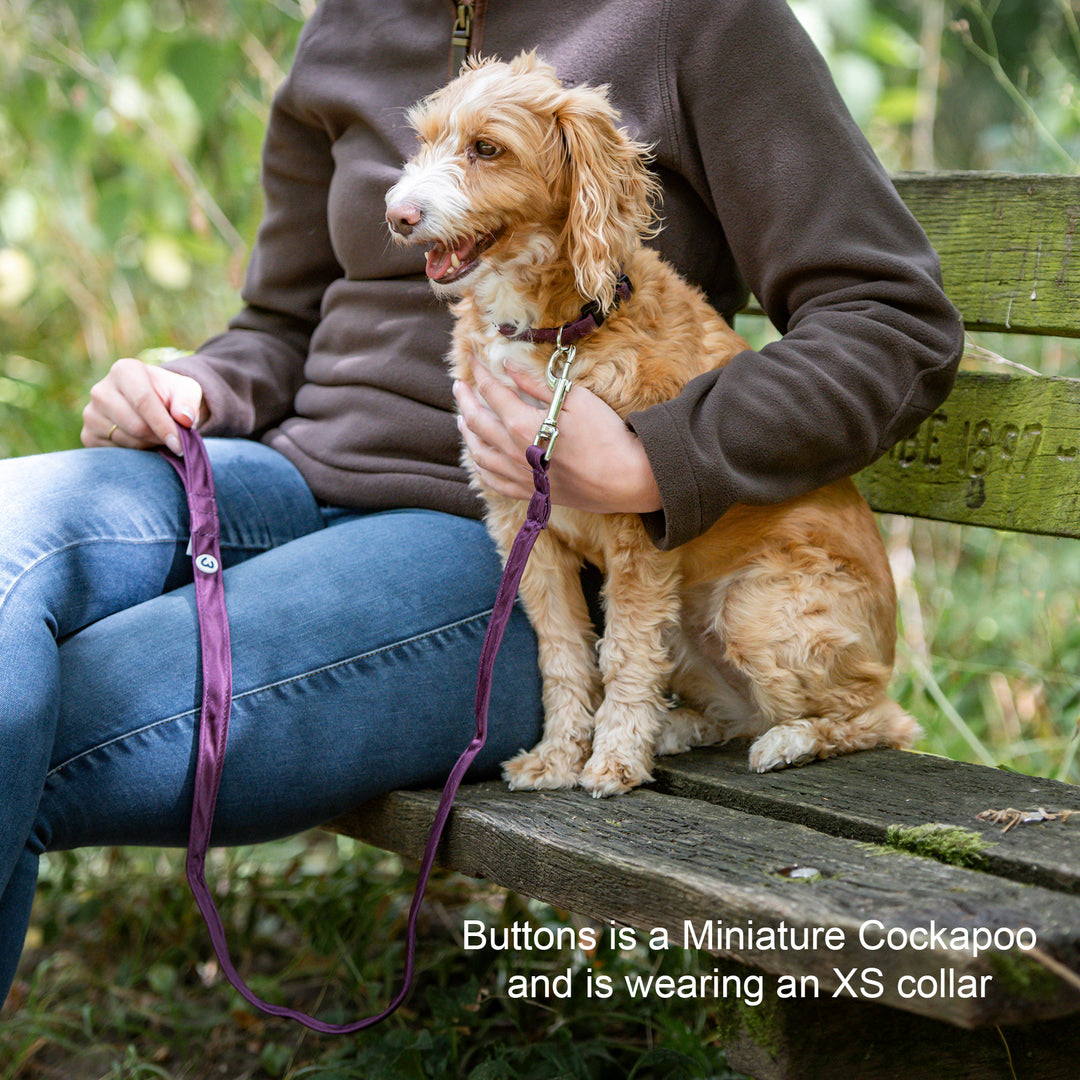 Millbry Hill Dog Collar & Lead Set