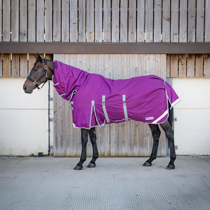Millbry Hill Elite All in One Medium Combo Turnout Rug