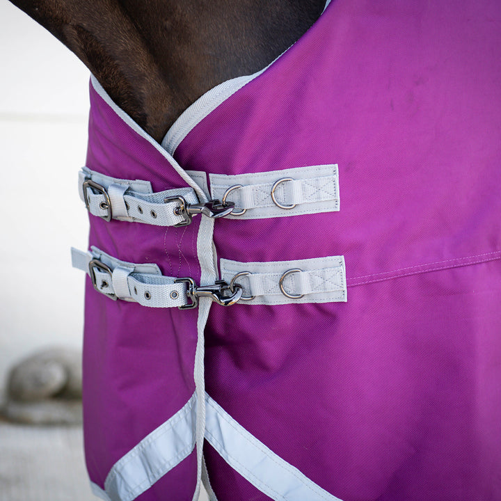 Close-up of a purple horse blanket with white trim and metal D-rings and buckles, fitted on a horse's body.