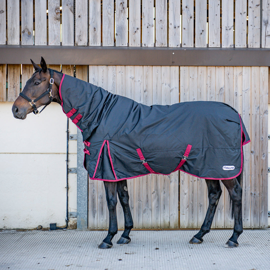 Millbry Hill Limited Edition 200g Combo Turnout Rug