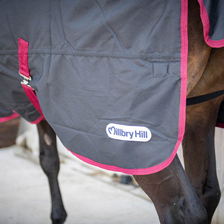 Millbry Hill Limited Edition 200g Combo Turnout Rug