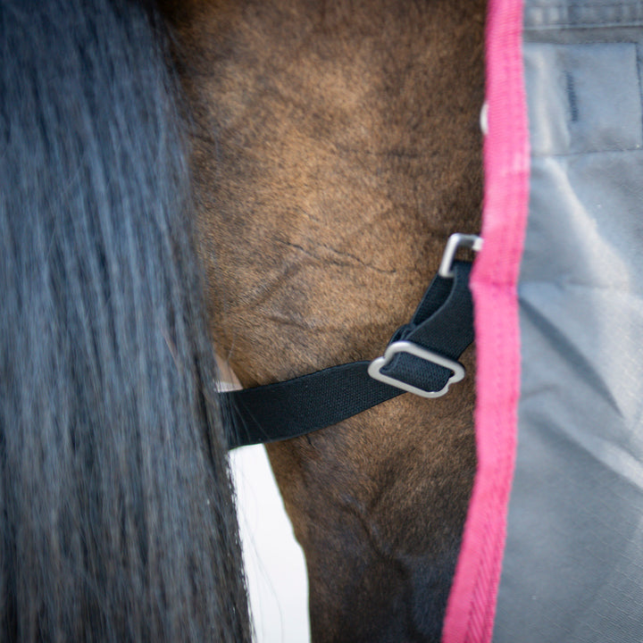 Millbry Hill Limited Edition 200g Combo Turnout Rug