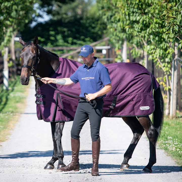 Millbry Hill Pro 100g Standard Turnout Rug