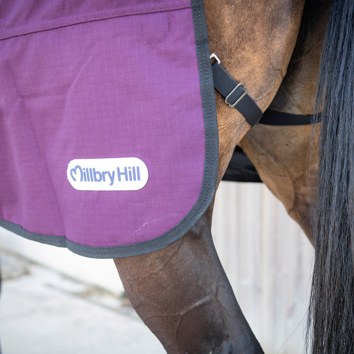 Millbry Hill Pro 100g Standard Turnout Rug