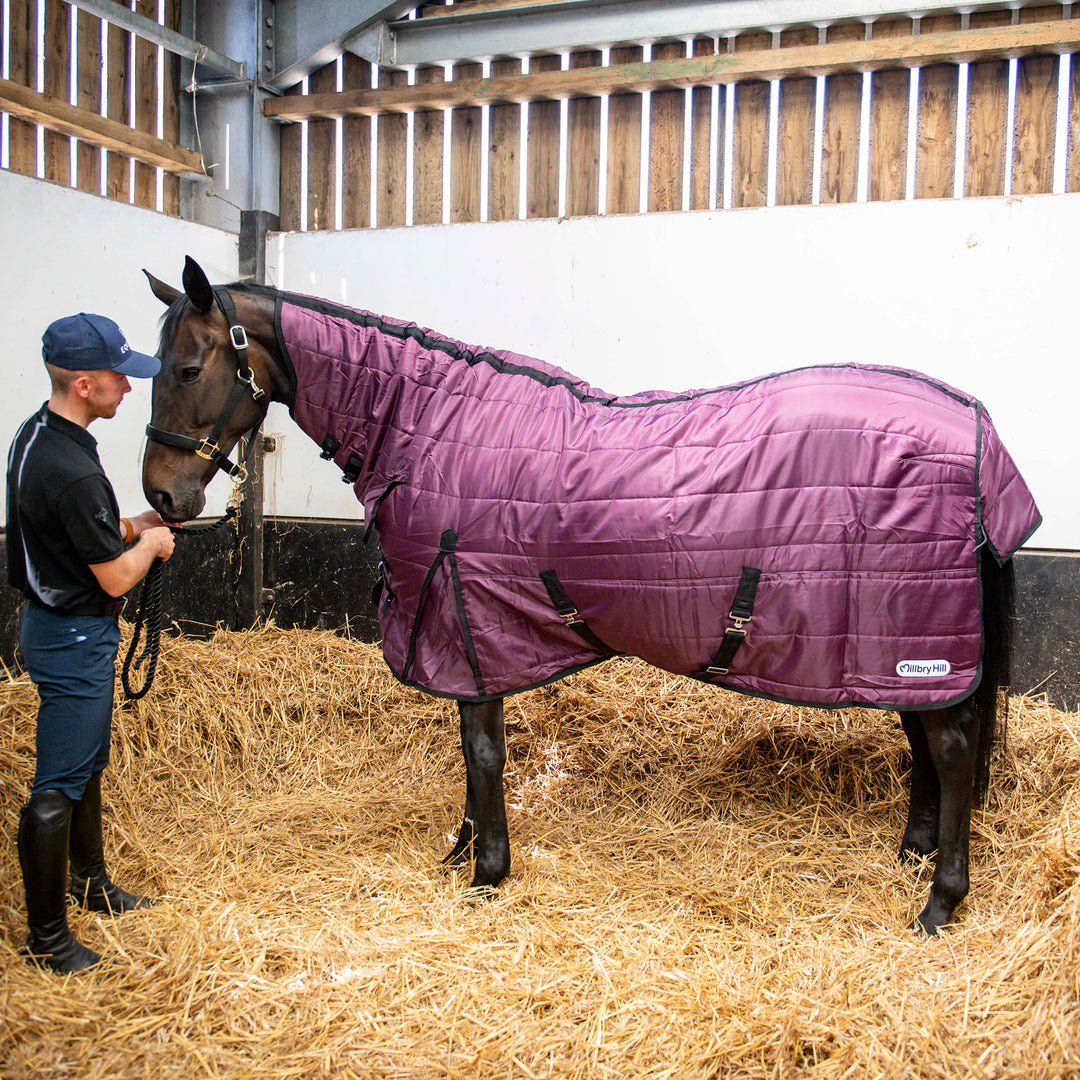 Millbry Hill Pro 200g Combo Stable Rug