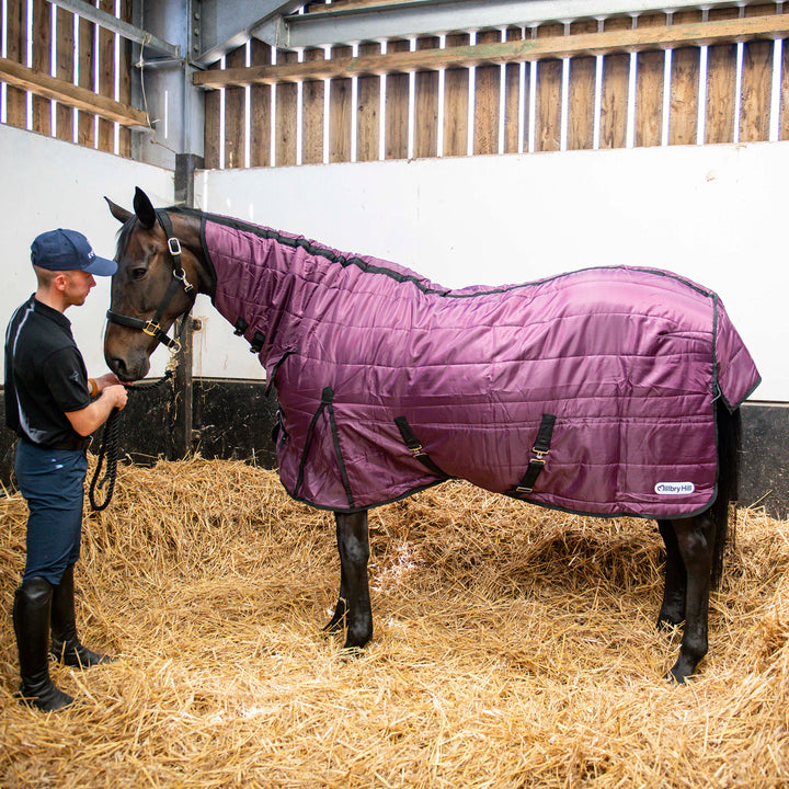 Millbry Hill Pro 200g Combo Stable Rug