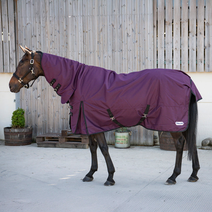 Millbry Hill Pro 200g Combo Turnout Rug