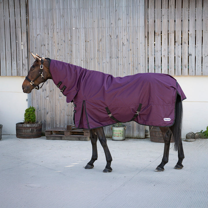 Millbry Hill Pro 200g Combo Turnout Rug