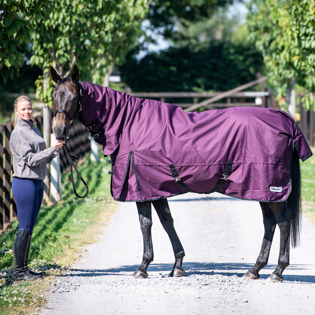Millbry Hill Pro 200g Combo Turnout Rug