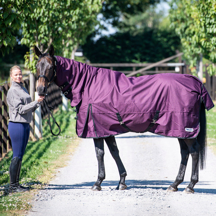 Millbry Hill Pro 200g Combo Turnout Rug