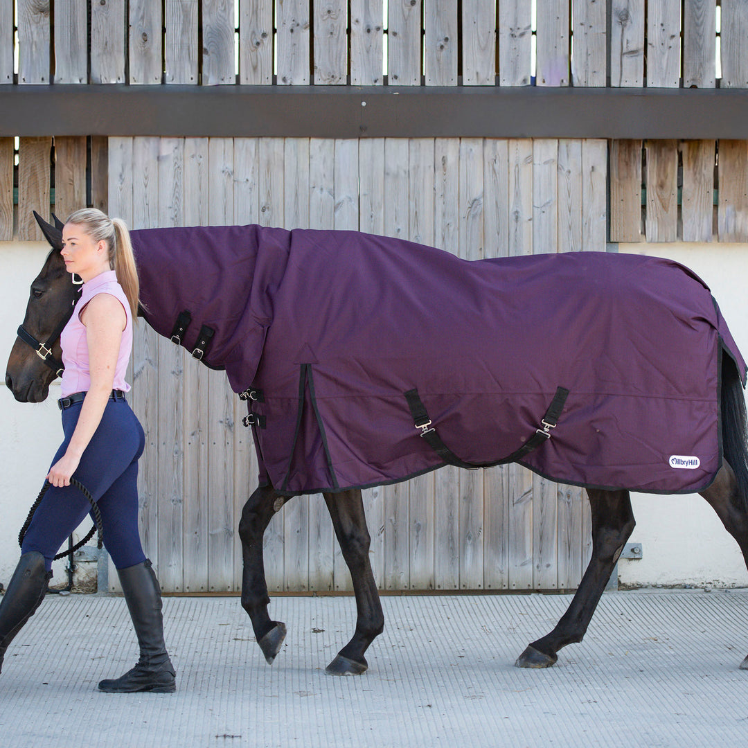 Millbry Hill Pro 200g Combo Turnout Rug