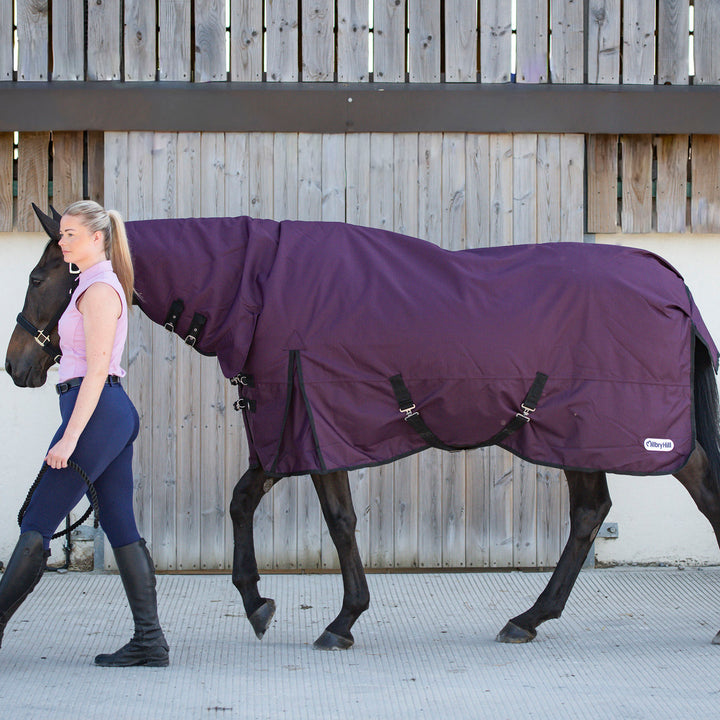 Millbry Hill Pro 200g Combo Turnout Rug