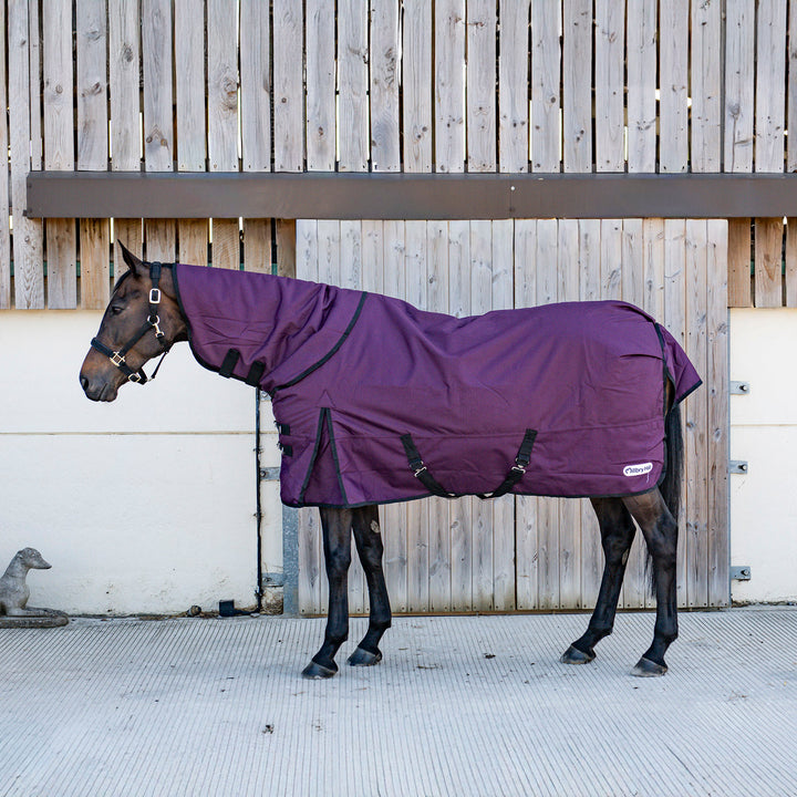 Millbry Hill Pro 200g Detach-A-Neck Turnout Rug