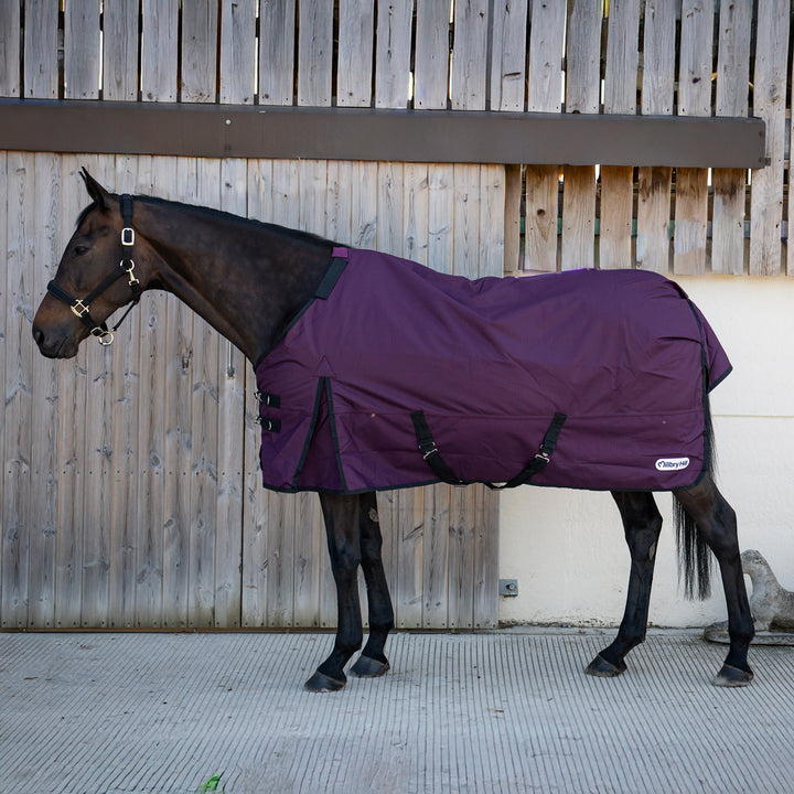 Millbry Hill Pro 200g Detach-A-Neck Turnout Rug