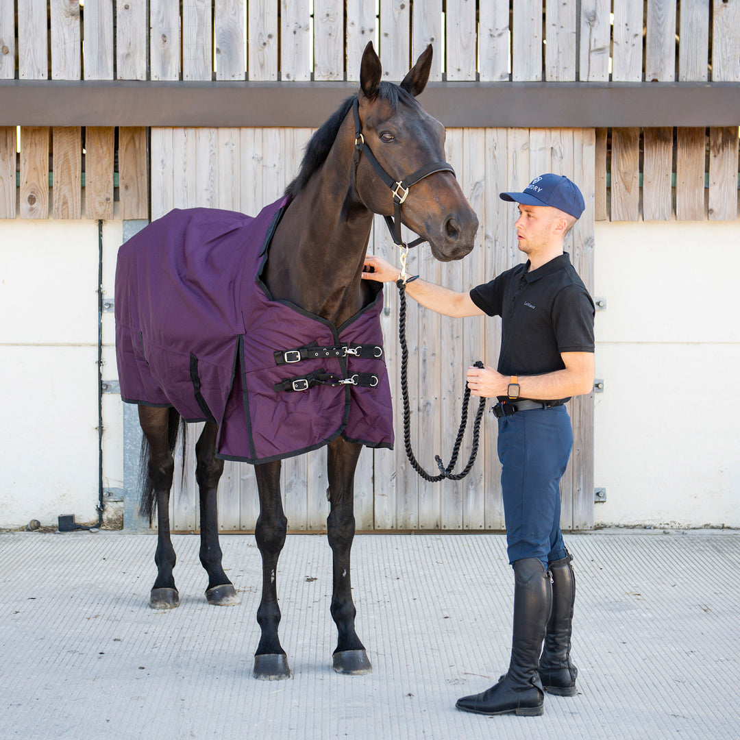 Millbry Hill Pro 200g Detach-A-Neck Turnout Rug