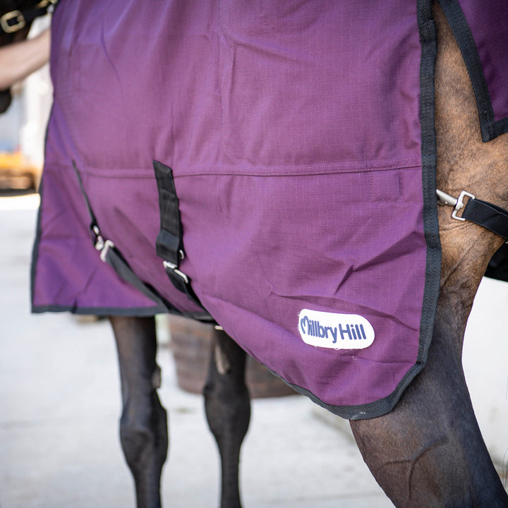 Millbry Hill Pro 200g Detach-A-Neck Turnout Rug