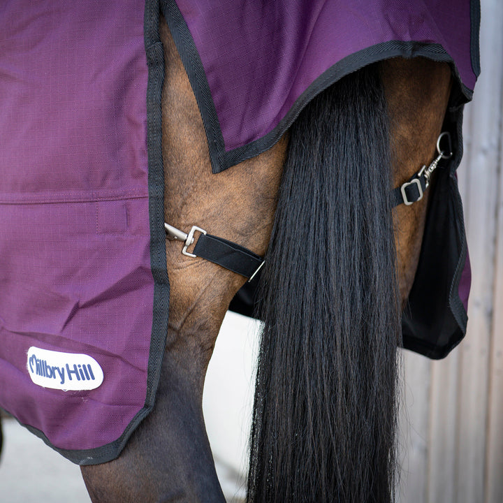 Millbry Hill Pro 200g Detach-A-Neck Turnout Rug