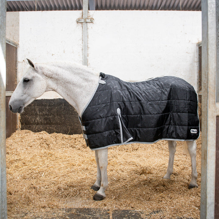 A white horse standing in a stable stall, wearing a black quilted rug liner with light gray trim. The horse is positioned on a bed of straw inside a stable with white walls.