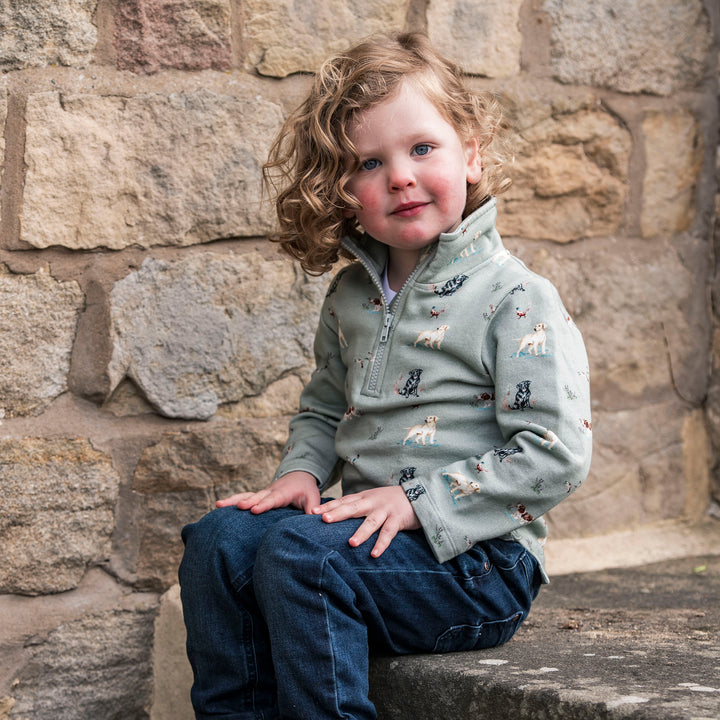 The Little Stamford 1/4 Zip Sweatshirt - Dog